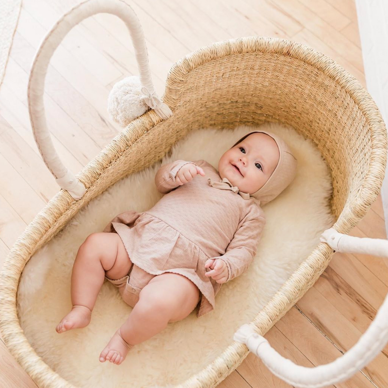 Wheatgrass<br> African Moses Basket <br> Cream Handle